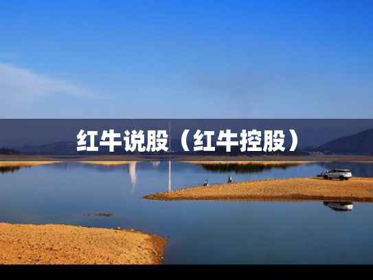 红牛说股（红牛控股）