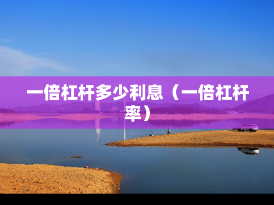 一倍杠杆多少利息（一倍杠杆率）