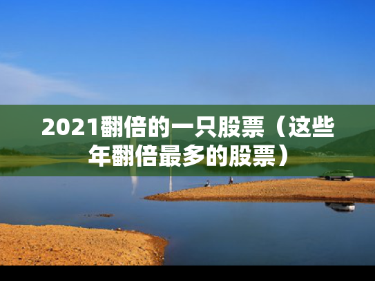 2021翻倍的一只股票（这些年翻倍最多的股票）