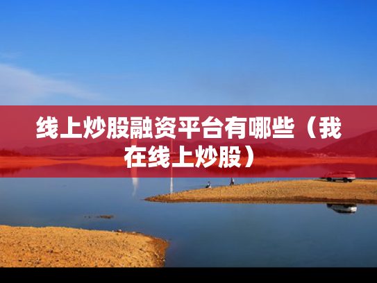 线上炒股融资平台有哪些（我在线上炒股）