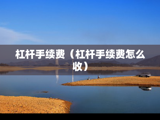 杠杆手续费（杠杆手续费怎么收）