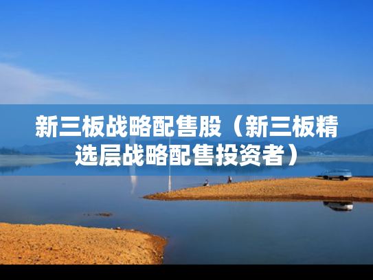 新三板战略配售股（新三板精选层战略配售投资者）