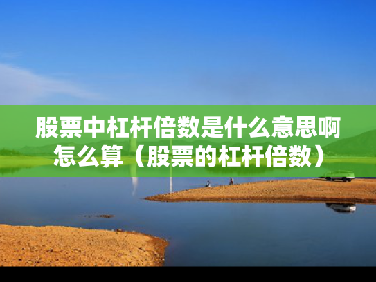 股票中杠杆倍数是什么意思啊怎么算（股票的杠杆倍数）