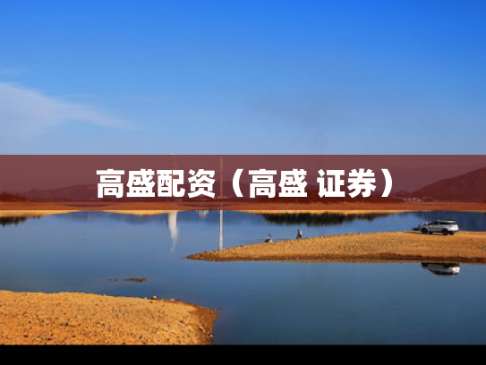 高盛配资（高盛 证券）