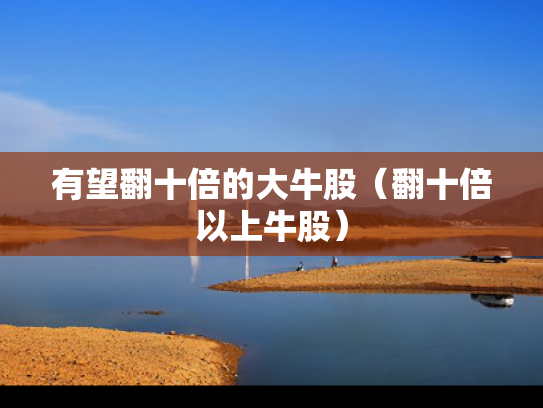 有望翻十倍的大牛股（翻十倍以上牛股）