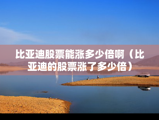 比亚迪股票能涨多少倍啊（比亚迪的股票涨了多少倍）
