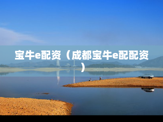 宝牛e配资（成都宝牛e配配资）