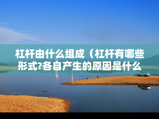 杠杆由什么组成（杠杆有哪些形式?各自产生的原因是什么?）