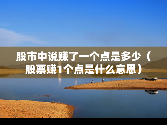 股市中说赚了一个点是多少（股票赚1个点是什么意思）
