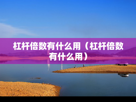 杠杆倍数有什么用（杠杆倍数有什么用）
