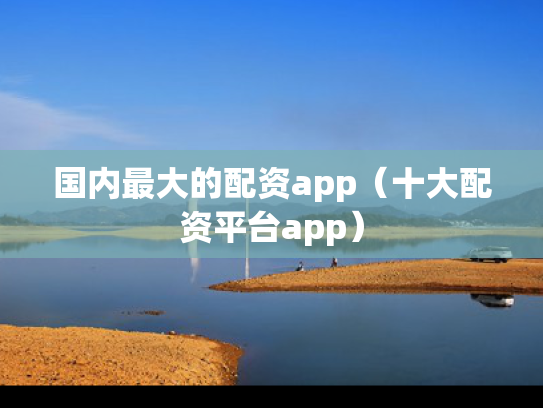 国内最大的配资app（十大配资平台app）