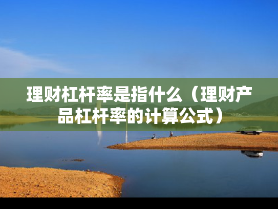 理财杠杆率是指什么（理财产品杠杆率的计算公式）