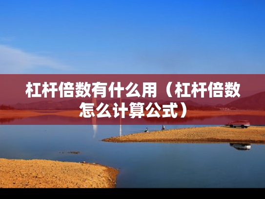杠杆倍数有什么用（杠杆倍数怎么计算公式）