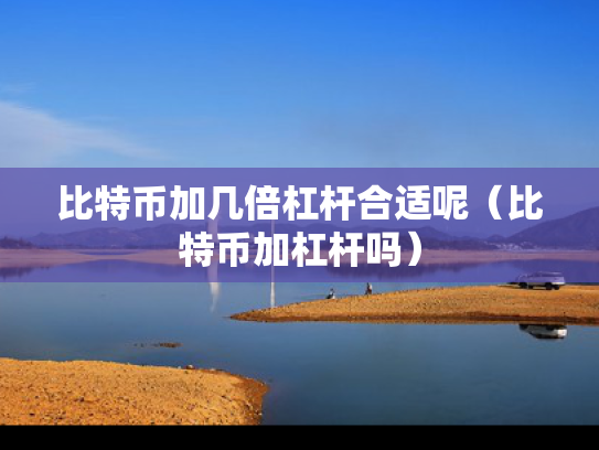 比特币加几倍杠杆合适呢（比特币加杠杆吗）