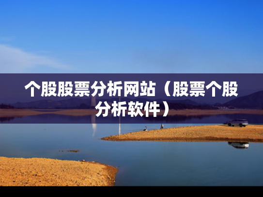 个股股票分析网站（股票个股分析软件）