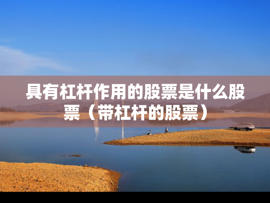 具有杠杆作用的股票是什么股票（带杠杆的股票）