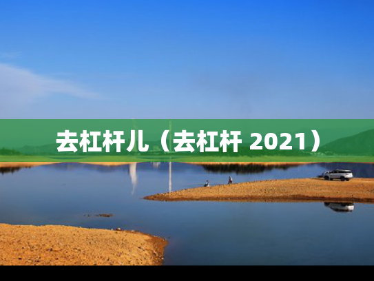 去杠杆儿（去杠杆 2021）
