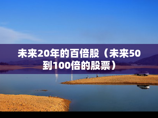 未来20年的百倍股（未来50到100倍的股票）