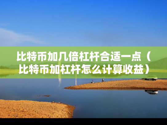 比特币加几倍杠杆合适一点（比特币加杠杆怎么计算收益）