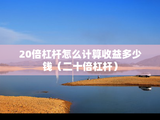 20倍杠杆怎么计算收益多少钱（二十倍杠杆）