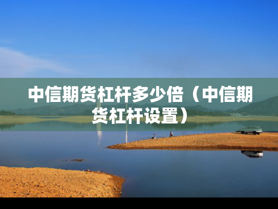 中信期货杠杆多少倍（中信期货杠杆设置）