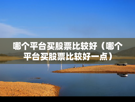 哪个平台买股票比较好（哪个平台买股票比较好一点）