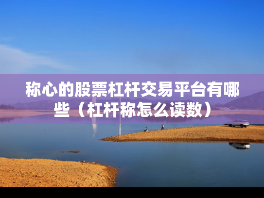 称心的股票杠杆交易平台有哪些（杠杆称怎么读数）