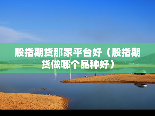 股指期货那家平台好（股指期货做哪个品种好）