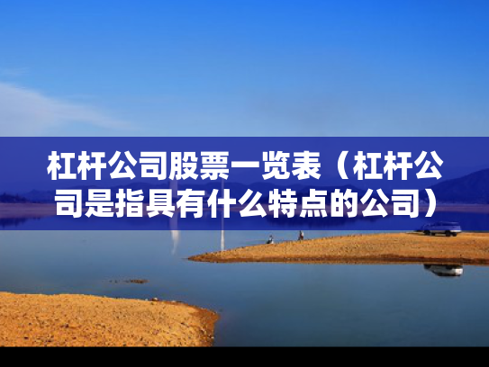 杠杆公司股票一览表（杠杆公司是指具有什么特点的公司）