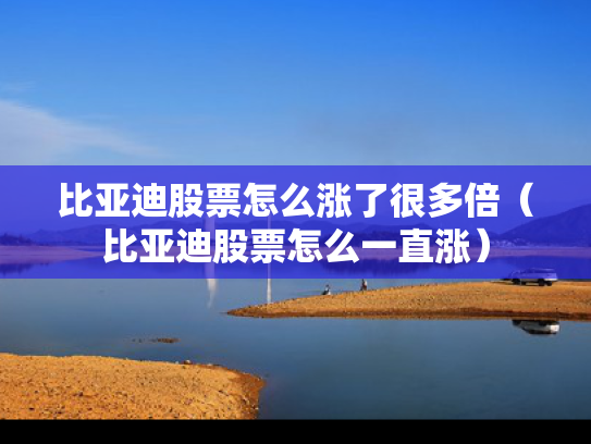 比亚迪股票怎么涨了很多倍（比亚迪股票怎么一直涨）
