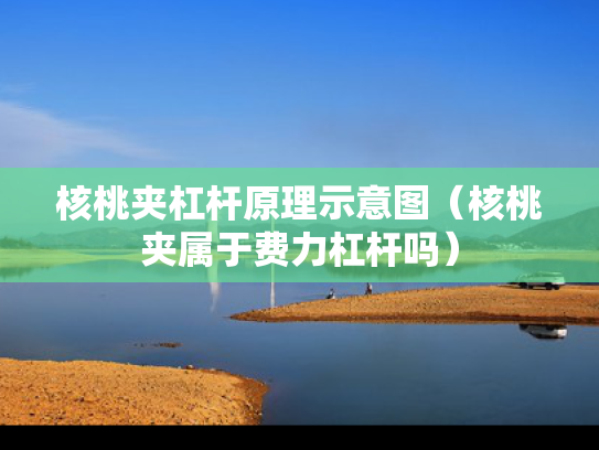 核桃夹杠杆原理示意图（核桃夹属于费力杠杆吗）