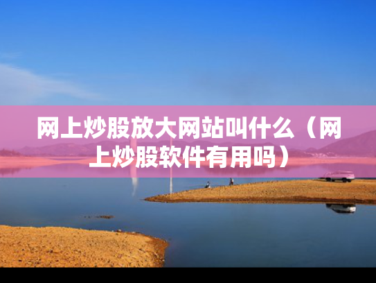 网上炒股放大网站叫什么（网上炒股软件有用吗）