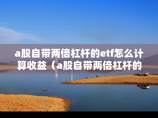 a股自带两倍杠杆的etf怎么计算收益（a股自带两倍杠杆的etf怎么计算收益率）