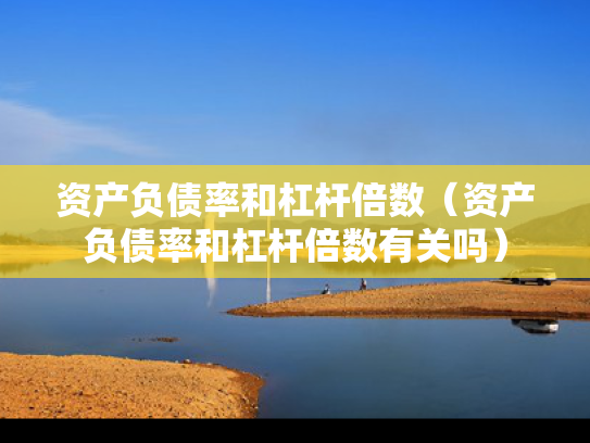 资产负债率和杠杆倍数（资产负债率和杠杆倍数有关吗）