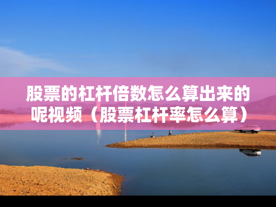 股票的杠杆倍数怎么算出来的呢视频（股票杠杆率怎么算）