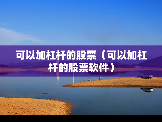 可以加杠杆的股票（可以加杠杆的股票软件）