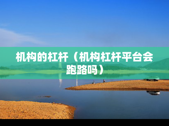 机构的杠杆（机构杠杆平台会跑路吗）