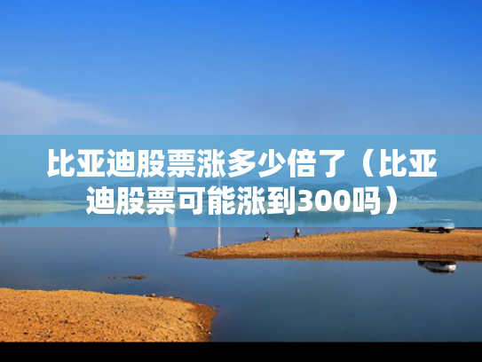 比亚迪股票涨多少倍了（比亚迪股票可能涨到300吗）