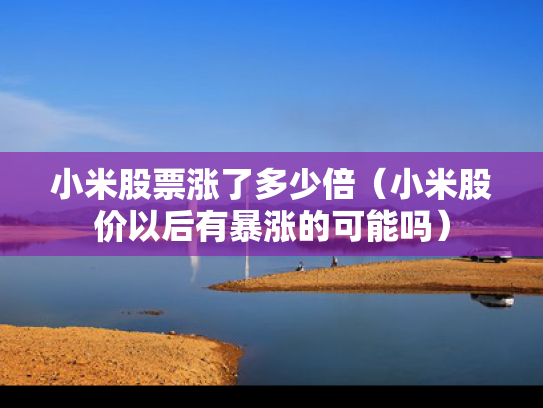 小米股票涨了多少倍（小米股价以后有暴涨的可能吗）