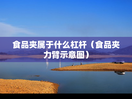 食品夹属于什么杠杆（食品夹力臂示意图）