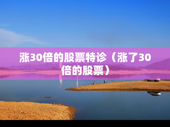 涨30倍的股票特诊（涨了30倍的股票）