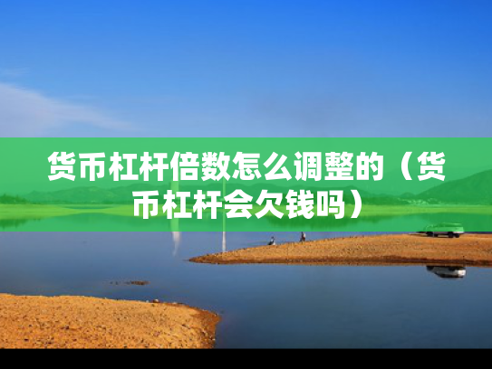 货币杠杆倍数怎么调整的（货币杠杆会欠钱吗）