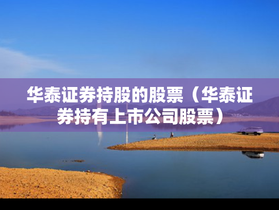 华泰证券持股的股票（华泰证券持有上市公司股票）