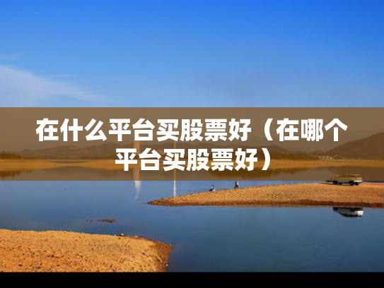 在什么平台买股票好（在哪个平台买股票好）