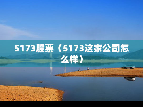 5173股票（5173这家公司怎么样）
