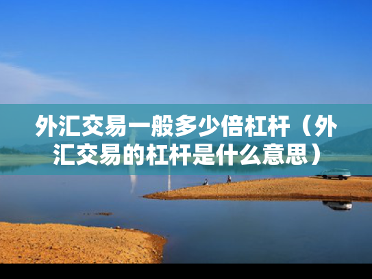 外汇交易一般多少倍杠杆（外汇交易的杠杆是什么意思）