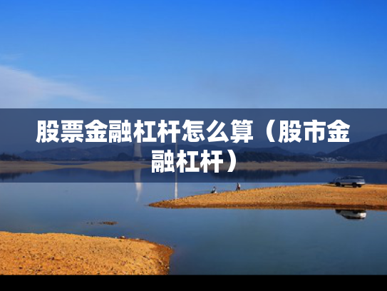 股票金融杠杆怎么算（股市金融杠杆）