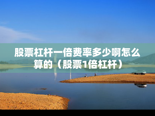 股票杠杆一倍费率多少啊怎么算的（股票1倍杠杆）