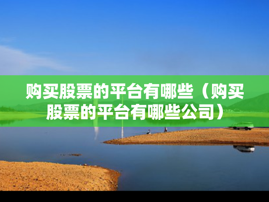 购买股票的平台有哪些（购买股票的平台有哪些公司）