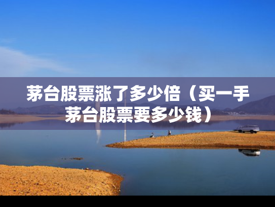 茅台股票涨了多少倍（买一手茅台股票要多少钱）